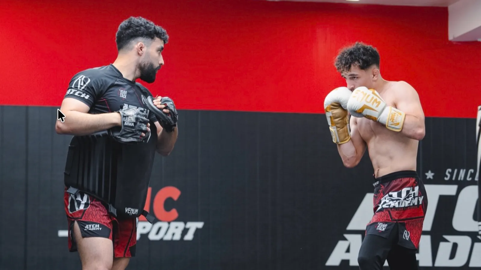 Deux combattants en garde lors d’un sparring de boxe